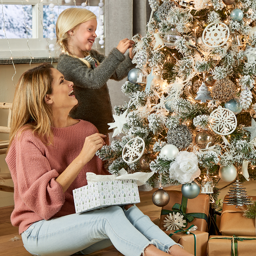 Studio build shoots winter christmas Studio build shoots winter christmas